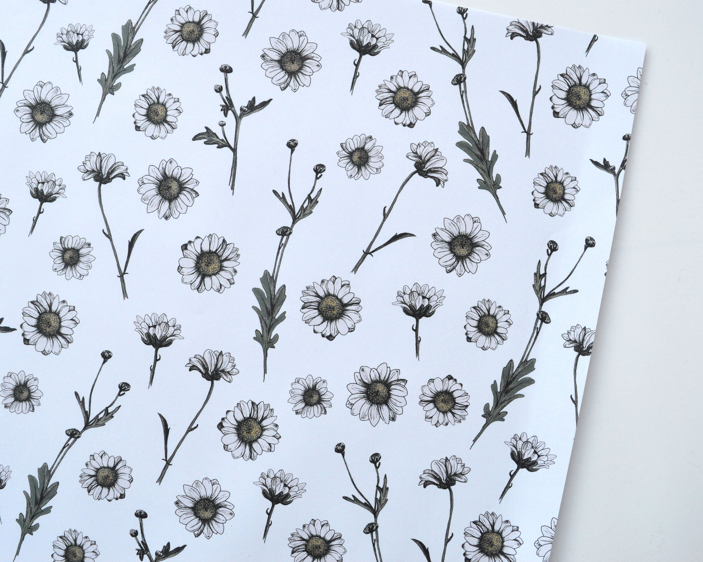 Close up of Daisy floral wrapping paper, white, green, yellow paper