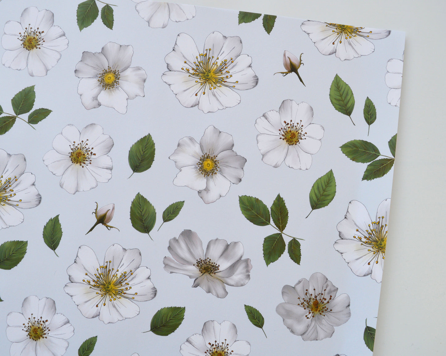 Close up of wild rose wrapping paper, pale blue, white, pink and green botanical paper