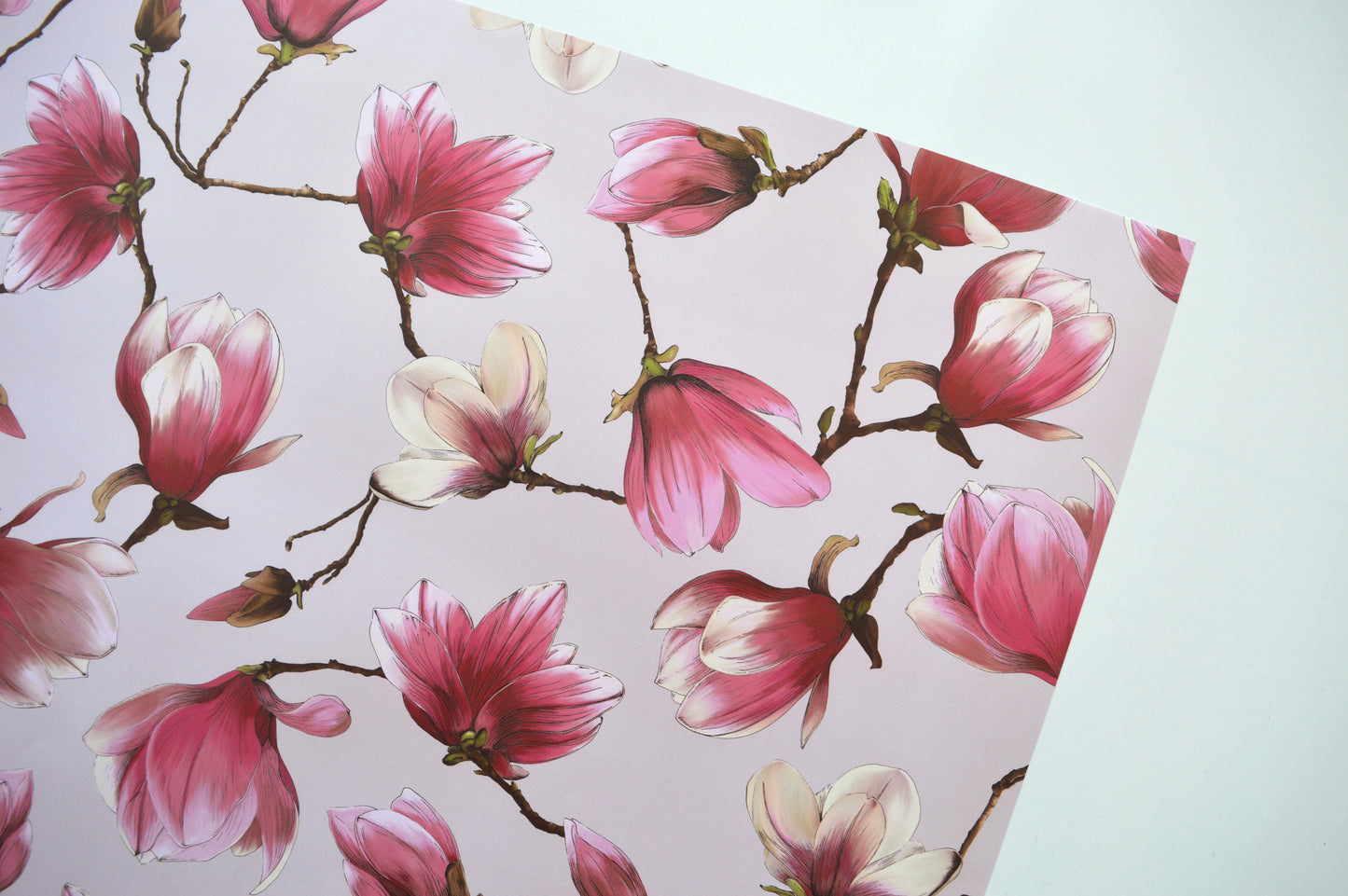 Close up of Magnolia wrapping paper, pink 