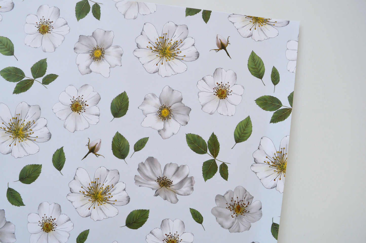 Close up of wild rose wrapping paper, pale blue, white, pink and green botanical paper